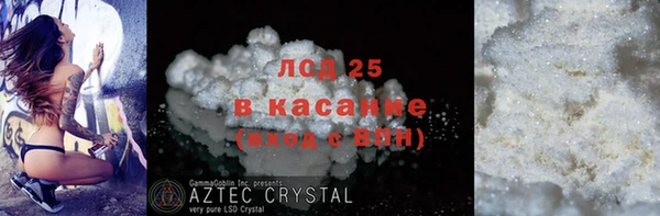 индика Алексин