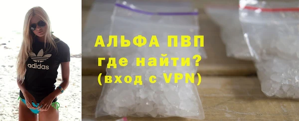 индика Алексин