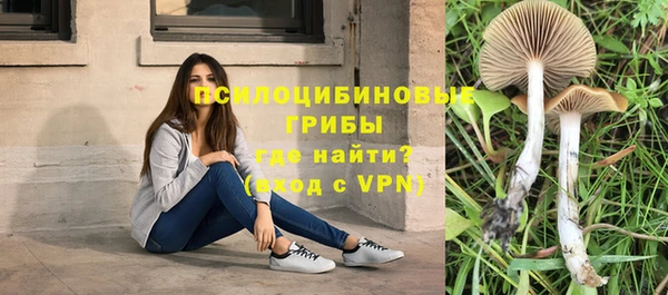 экстази Алзамай