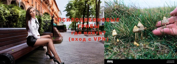 индика Алексин