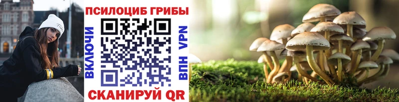 KRAKEN вход  Кремёнки  Псилоцибиновые грибы Psilocybine cubensis 