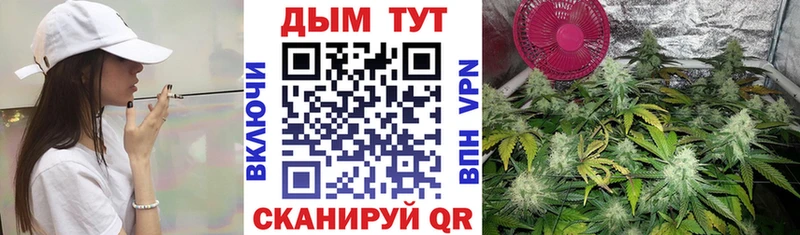 Бошки Шишки план  Кремёнки 
